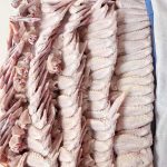 Chicken-0010 (2)