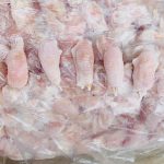 Chicken-0020 (3)