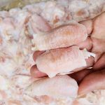 Chicken-0020 (3)