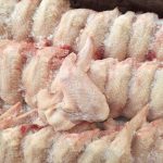 Chicken-003 (1)