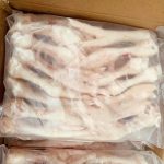 Chicken-005 (4)