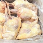 Chicken-006 (1)