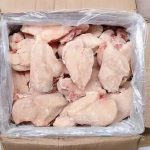 Chicken-008 (1)