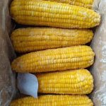 Vegan-0004 (1)