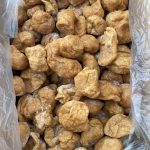 Vegan-002 (1)